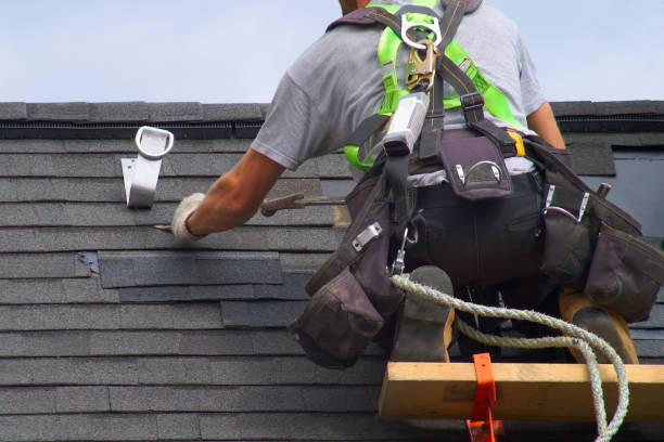Best Shingle Roofing Installation  in Waterville, OH