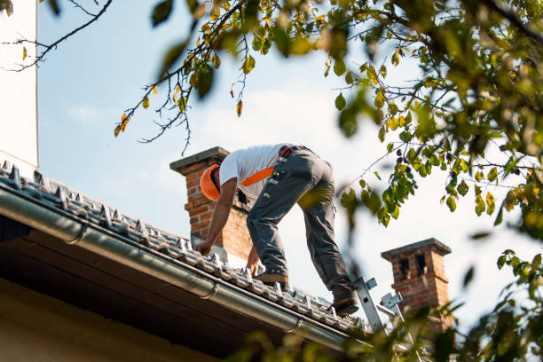 Quick and Trustworthy Emergency Roof Repair Services in Waterville, OH