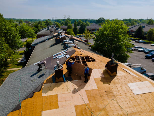 Best Flat Roof Repair Services  in Waterville, OH