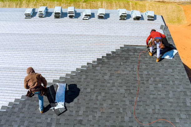 Best Roof Leak Repair  in Waterville, OH