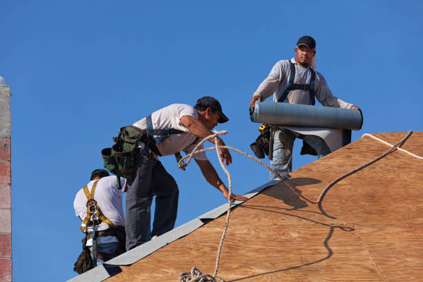 Best Best Roofing Contractors  in Waterville, OH