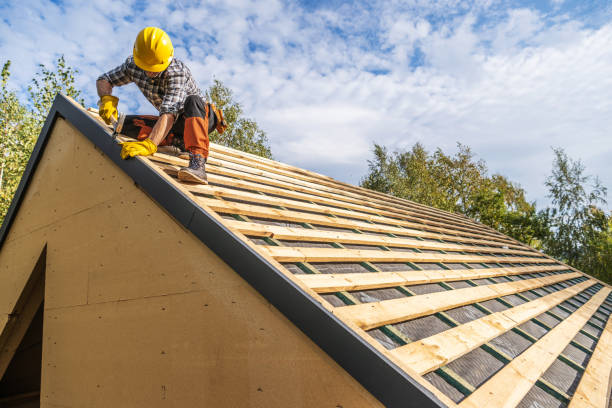 Best Roof Maintenance Services  in Waterville, OH