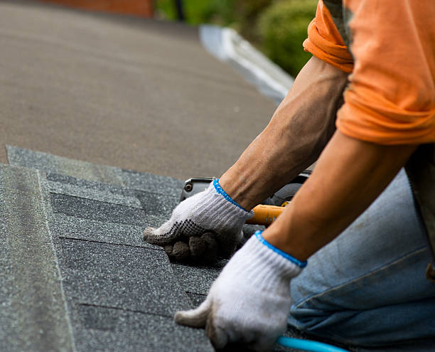 Best Metal Roofing Contractor  in Waterville, OH