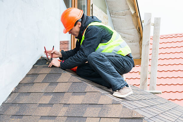 Best Local Roofing Companies  in Waterville, OH