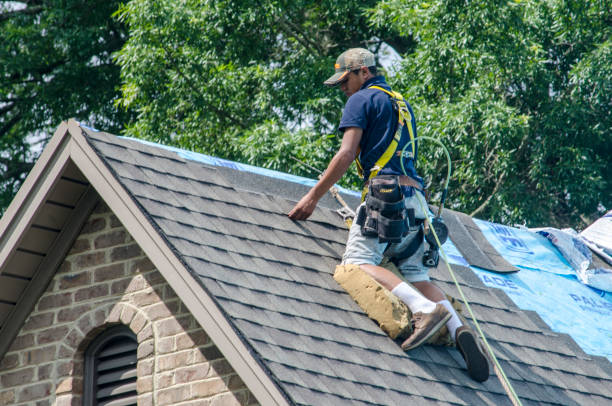 Best Shingle Roofing Installation  in Waterville, OH